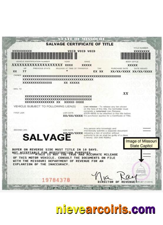 USA Missouri salvage certificate of title